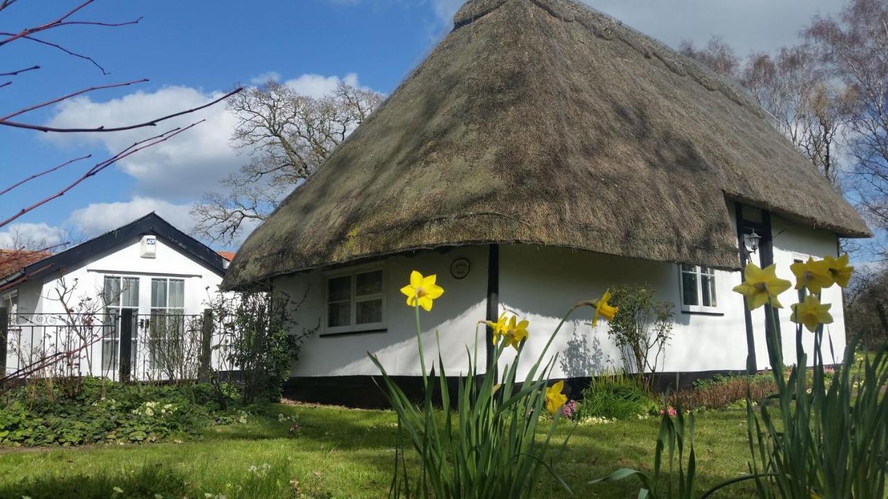 Frogs Hall B&B Eye  Екстериор снимка